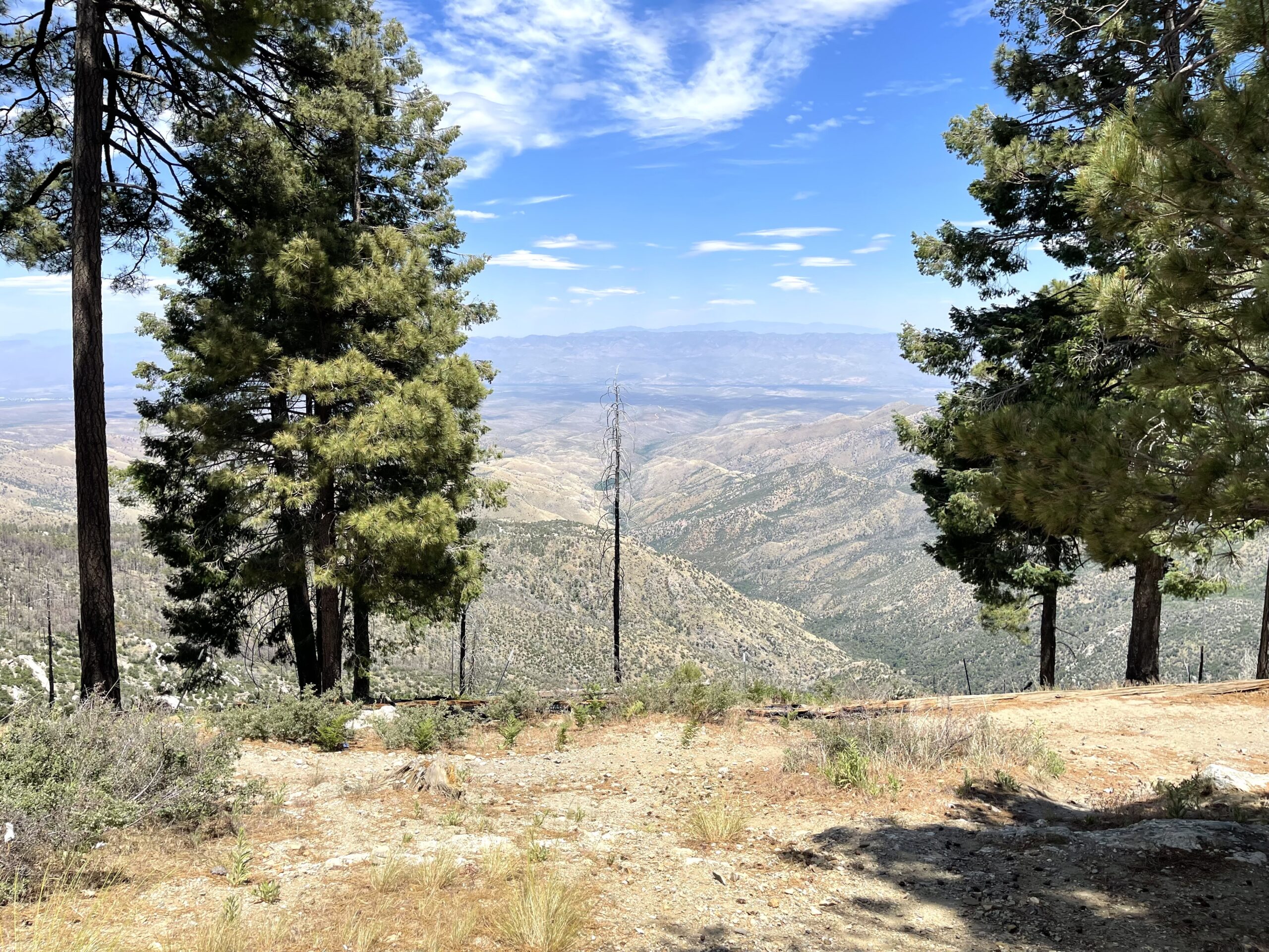 God’s heart toward those who mourn.