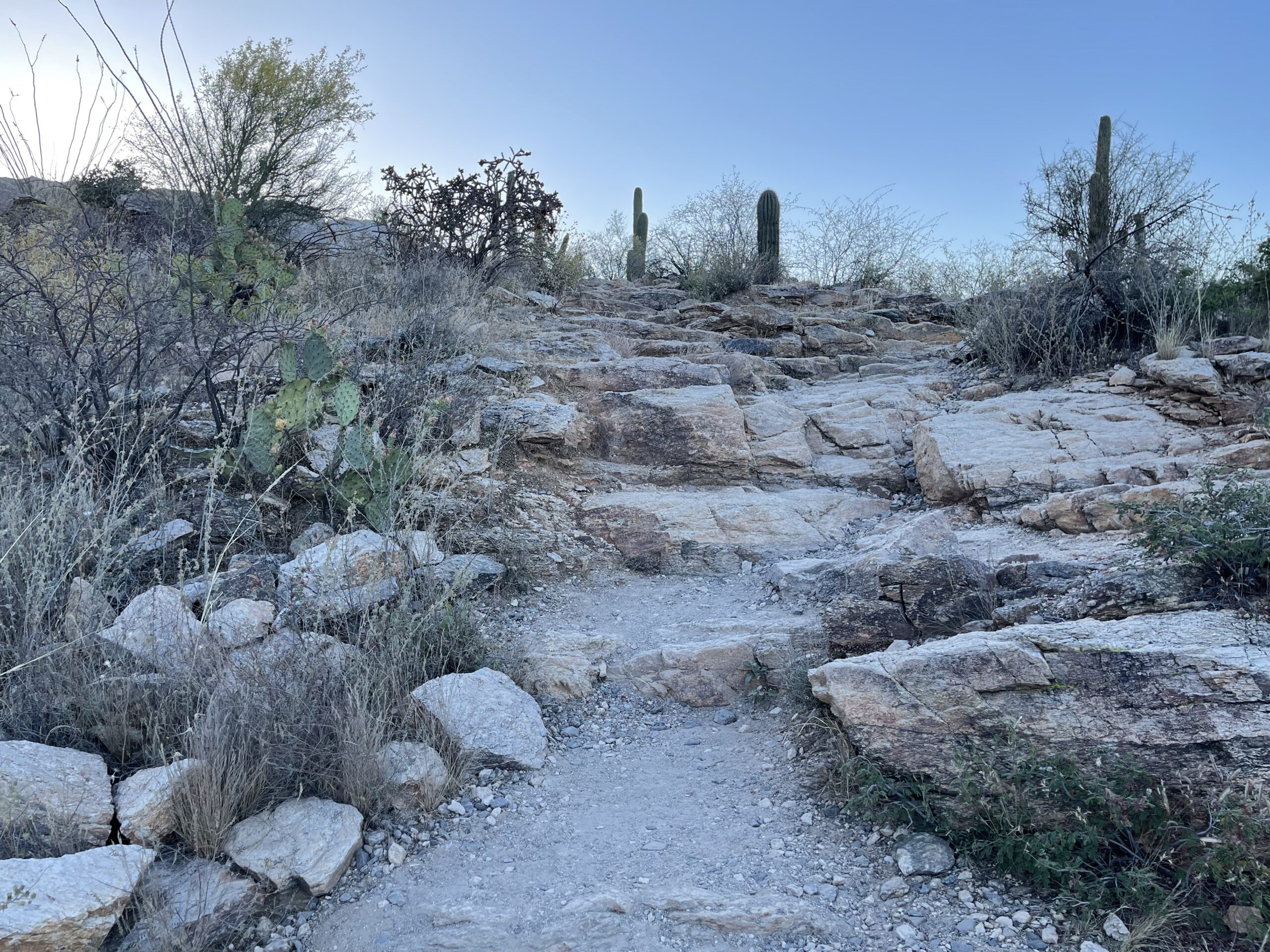 Jesus is no stranger to false accusations…