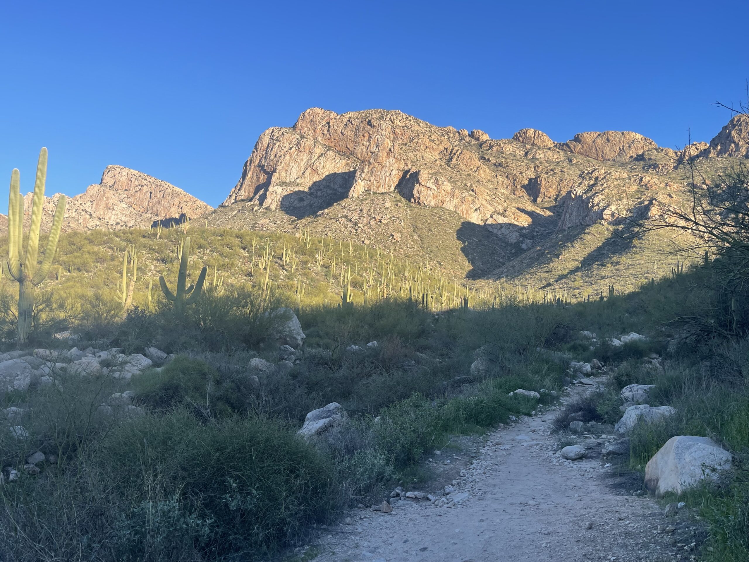 Oro Valley Hike – Linda Vista Trail